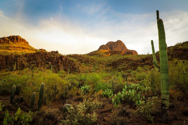 Making Space for New Possibilities in Tucson, Arizona: Nov. 2022 ...